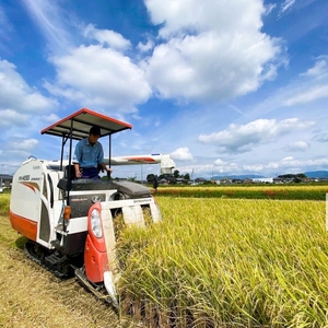 【 先行予約 】 令和8年産 新米 10kg きらみずき 有機JAS 米 玄米 環境こだわり米 特別栽培米 きらみずき お米 玄米 国産 滋賀県 日野町 農家直送 環境こだわり 米 ご飯 おにぎり お