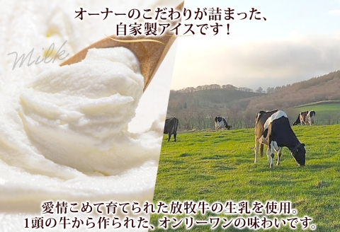 3224. 牧之瀬牧場 自家製アイス 濃厚ミルク チョコ 2種 各3個 計6個 ミルク チョコ フレーバー オリジナル  牧場 手作り セット おやつ デザート 冷凍 ギフト 送料無料 北海道 弟子屈