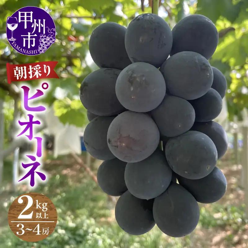 【農家直送】【クール便でお届け】ピオーネ 2kg以上（3～4房入）【2026年発送】（ABE）C-911 ピオーネ フルーツ