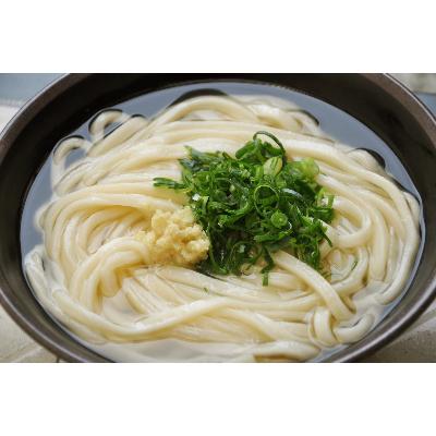 ふるさと納税 まんのう町 【なかむらうどん】の半生うどん(かけうどん)12食セット |  | 01