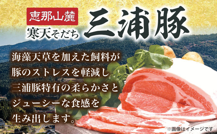 【3回定期便】 特盛三浦豚 1.6kg 豚肉セット / バラ ウデ モモ 国産 ポーク 大容量 / 恵那市 / あづま精肉店 [AUDL006]