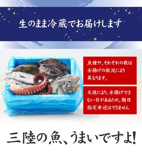 三陸海の恵み詰め合わせ【下処理可】(1～2人用) 鮮魚 海鮮 刺身 