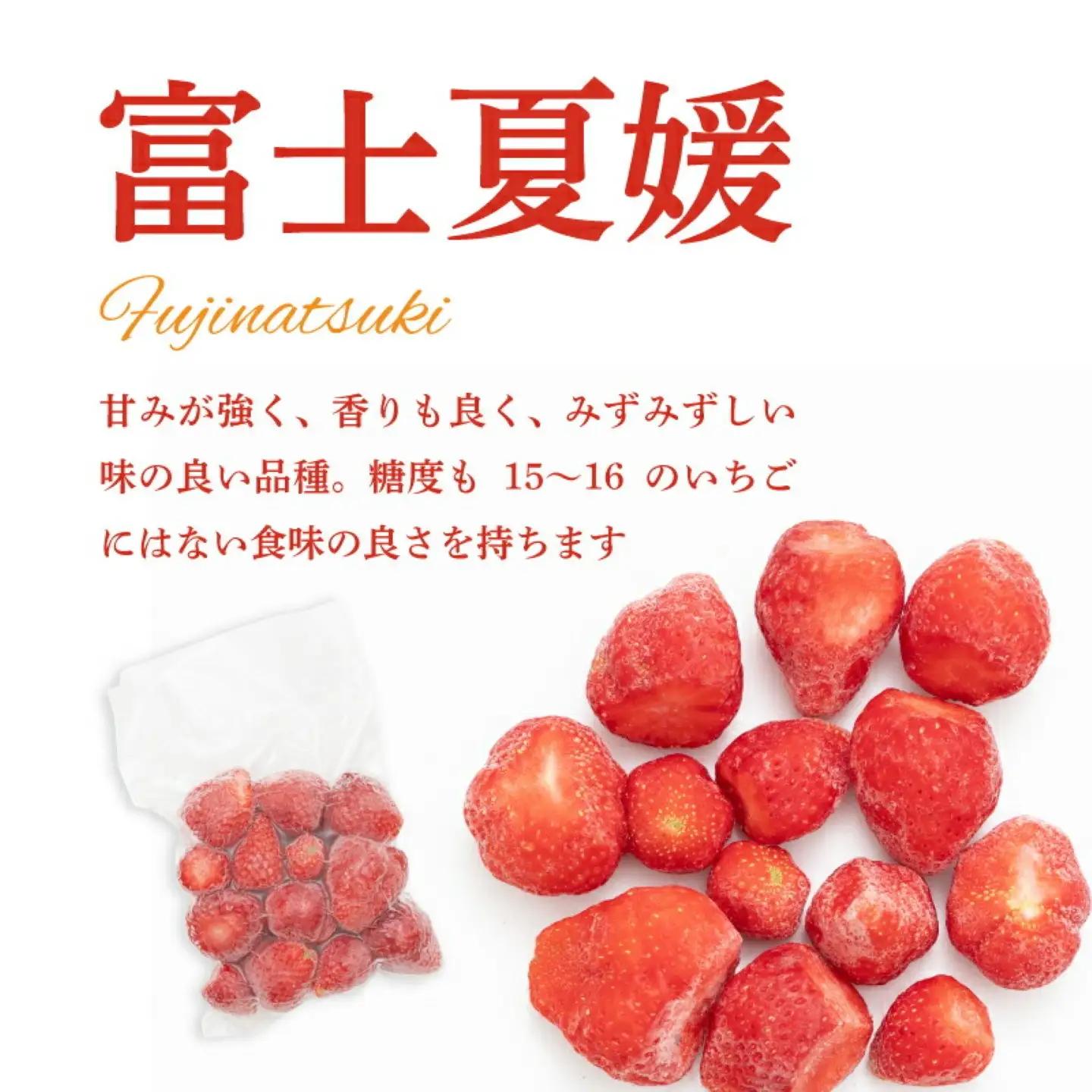 【冷凍いちご 】5袋詰合せセット　いちご　