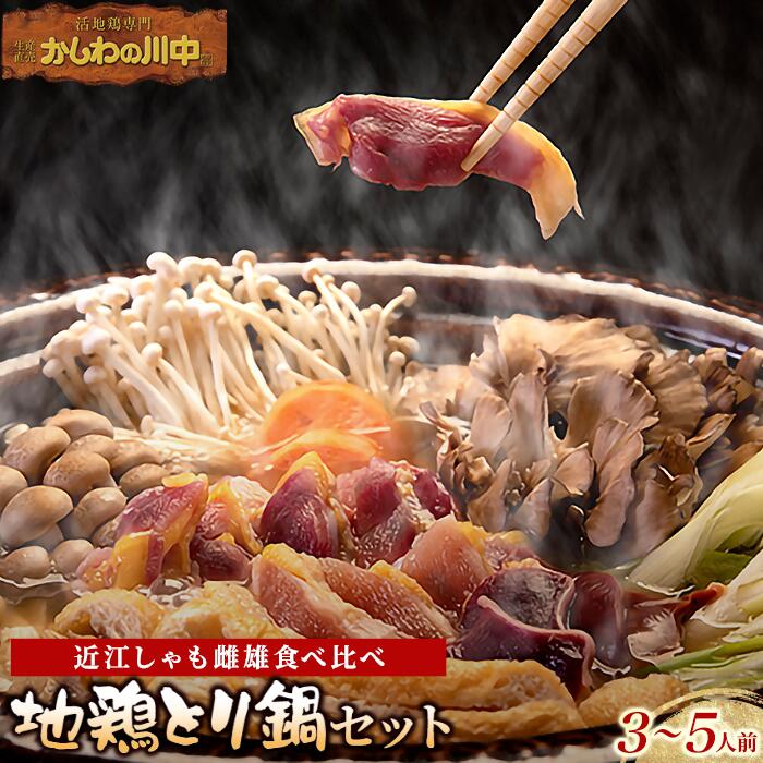 【ふるさと納税】【かしわの川中】超新鮮＆美味！地鶏とり鍋セット　近江しゃも雌雄食べ比べ　／ 国産（滋賀県） 鶏肉 肉 炭火焼 とり モモ 焼き鳥 すき焼き 鍋