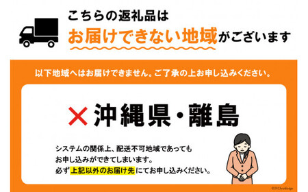 【2025年発送】 ピオーネ 一房 [梨北農業協同組合 山梨県 韮崎市 20743011] ぶどう ブドウ 葡萄 果物 くだもの フルーツ 期間限定 季節限定 産地直送 山梨県産 韮崎市産