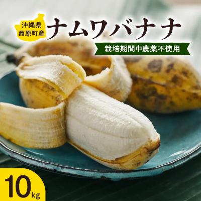 ふるさと納税 西原町 西原町の栽培期間中農薬不使用のナムワバナナ10kg