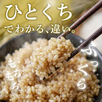 ふるさと納税 神埼市 【令和8年産 新米先行受付】さがびより 玄米 10kg【6ヶ月定期便】農園(H061D98) |  | 01
