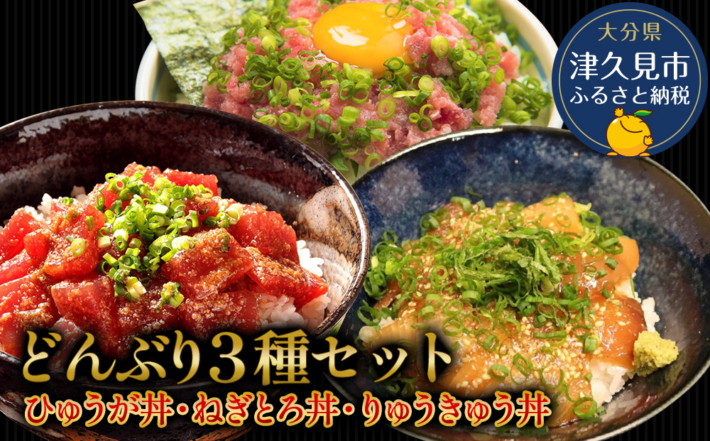 どんぶり3種セット ぶりのりゅうきゅう丼・まぐろの漬け丼（ひゅうが丼）・まぐろのたたき（ねぎとろ）セット ねぎとろ 鮪丼 まぐろ 大分県産 九州産 津久見市 熨斗対応【tsu000303】