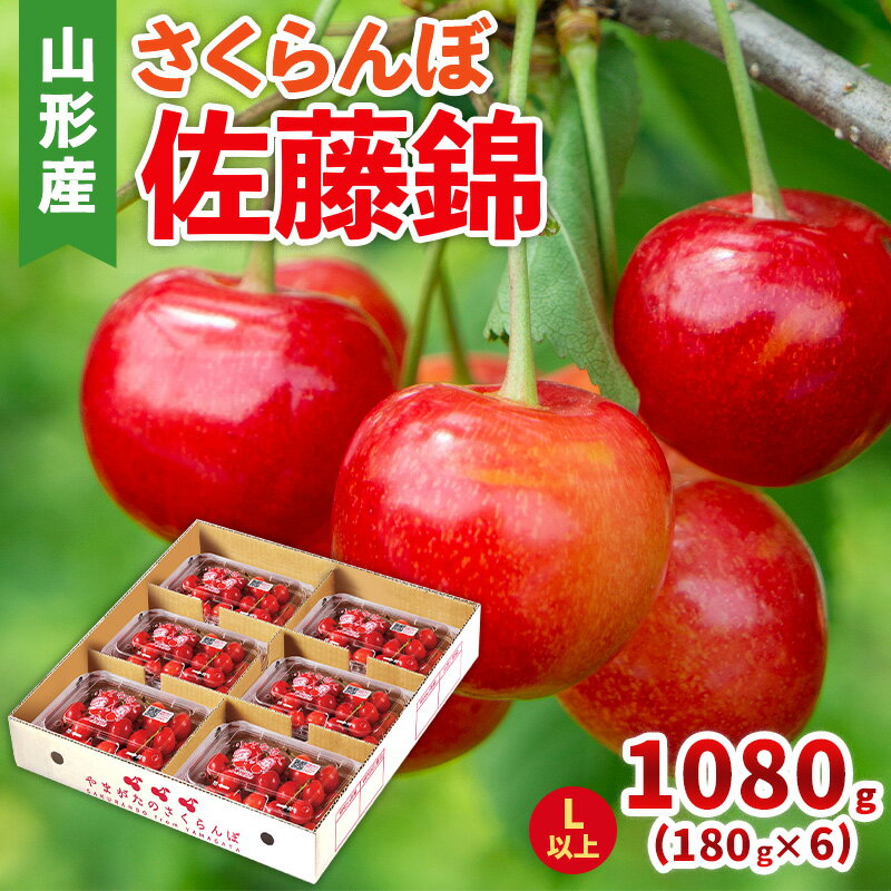 【ふるさと納税】さくらんぼ(佐藤錦) Lサイズ 1080g(180g×6パック)【令和8年産先行予約】FS25-047