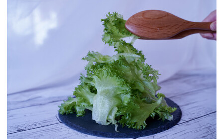 カルシウム&ポリフェノールリッチレタスMix（10袋セット）