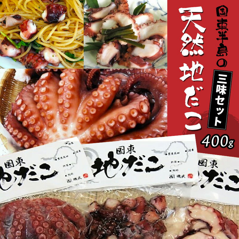 【ふるさと納税】国東半島の天然地だこ三味セット/計400g たこ 蛸 タコ 味付け 酒の肴 つまみ