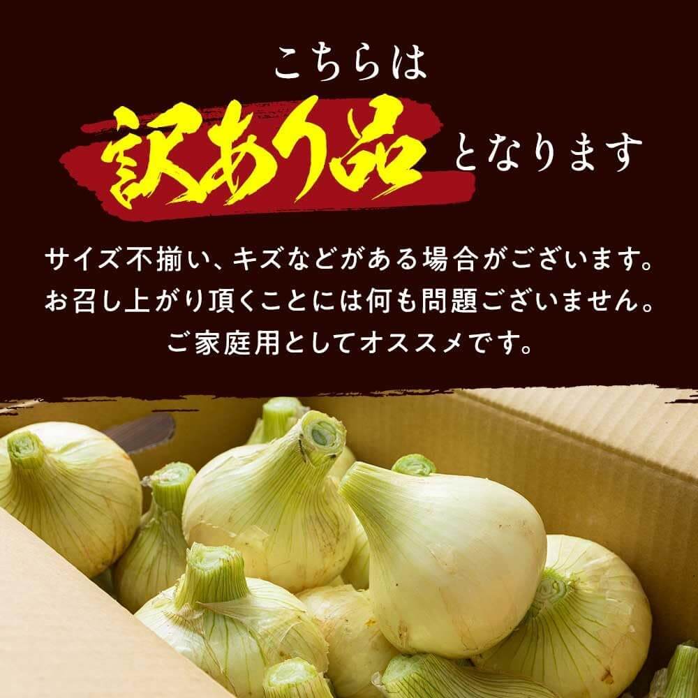 【訳あり】今井ファームの淡路島たまねぎ 10kg【サイズ混合