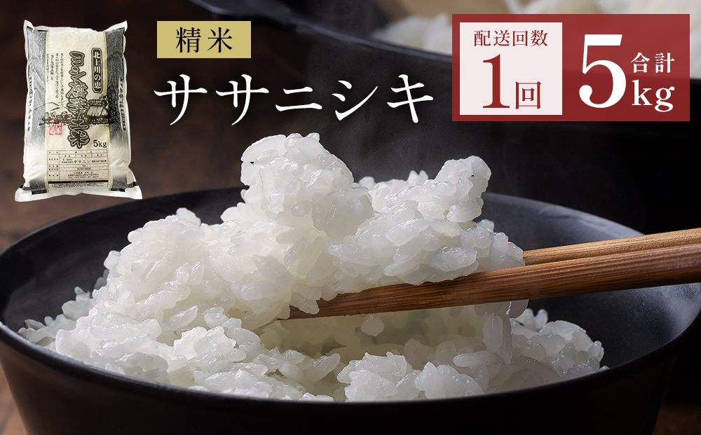 米 令和7年産 ササニシキ 精米 5kg 単品 こめ コメ お米 ご飯 白米 ささにしき