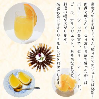 ふるさと納税 淡路市 淡路島なるとオレンジ 4kg 【発送時期2026年3月〜4月】　an13002 |  | 02