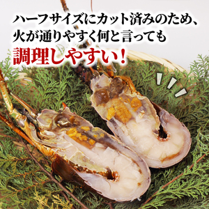 伊勢えび 1.3kg 冷凍 伊勢えび ハーフカット