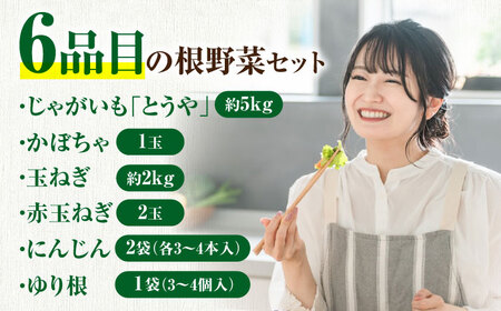 【11月上旬以降順次発送】【ニセコ町産】秋のうまいもん 6種セット《喜茂別町》【ニセコビュープラザ直売会協同組合】 先行予約 セット 詰め合わせ 秋野菜　冬野菜 季節の野菜 たまねぎ じゃがいも 先行