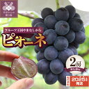 【ふるさと納税】 ピオーネ 2025年 先行予約 2房 約1.0kg 山梨県産 甲府市産 ぶどう フルーツ 果物 冷蔵 種なし 甘い 贈り物 お中元 贈答品 手土産 フルーツ王国山梨 数量限定 期間限定 2025年度配送分 k330-004