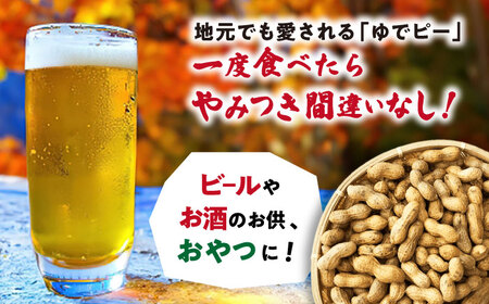 塩ゆで落花生 500g×6袋 落花生[ACZR003]