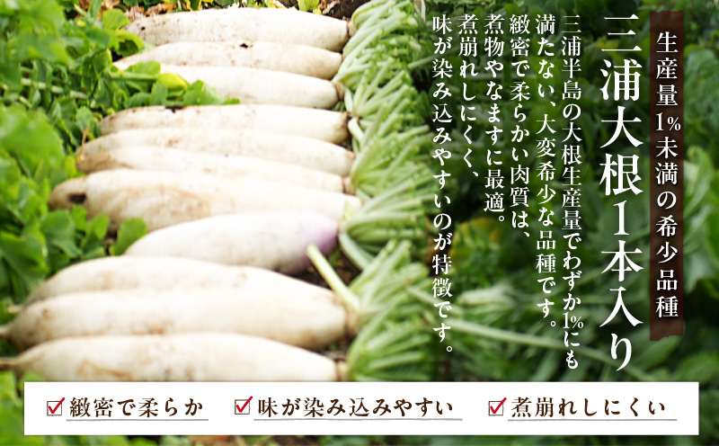 ボリューム満点！季節の野菜詰め合わせ（冬）　M001-004-02