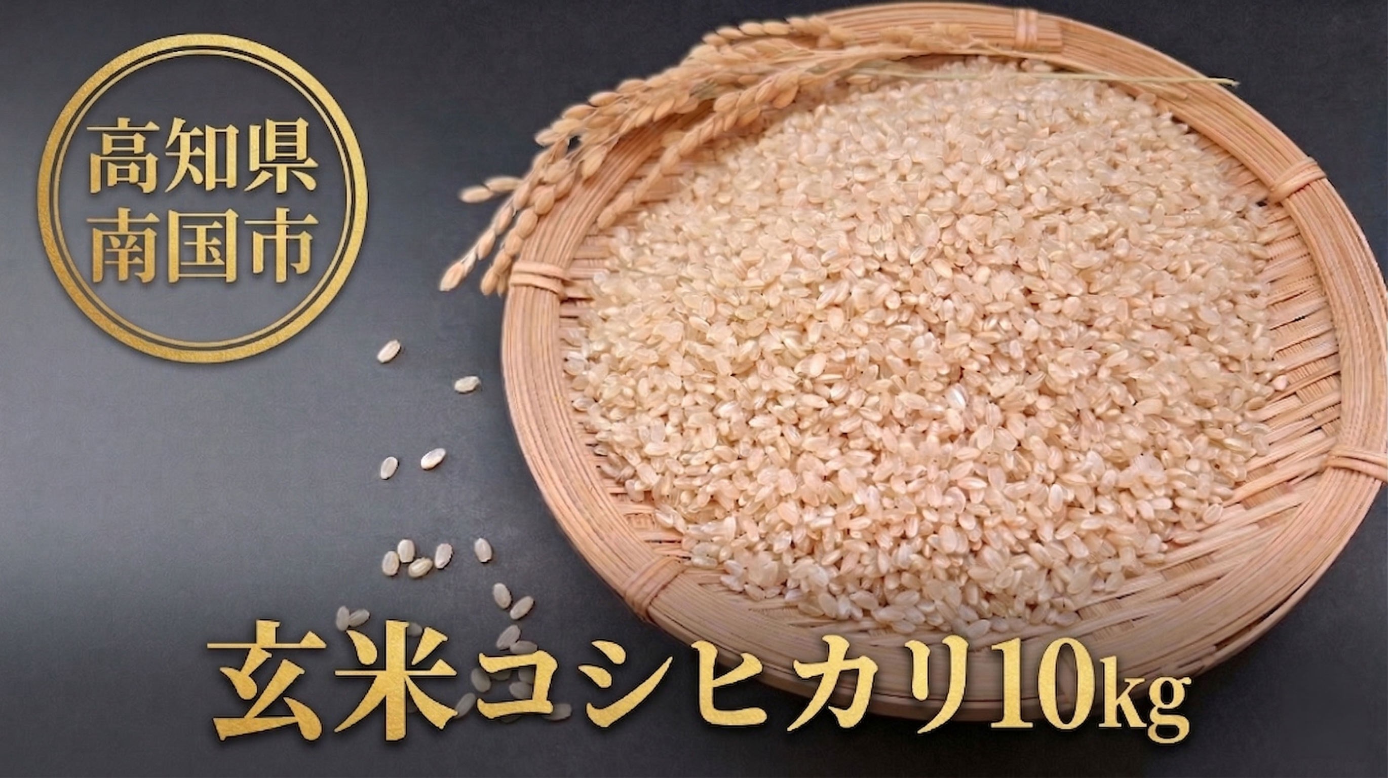 
                  【令和8年産】 コシヒカリ 玄米 10kg | 新米 早場米 数量限定 米 コメ お米 ご飯 おにぎり こめ キロ 弁当 南国市産 高知県 南国市
                