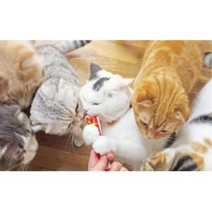 猫用おやつ　いなば CIAO チャオ ちゅ～る・とりささみバラエティ320本 （14ｇ40ｘ8袋）セット（ キャットフード  ペットフード   ）静岡市