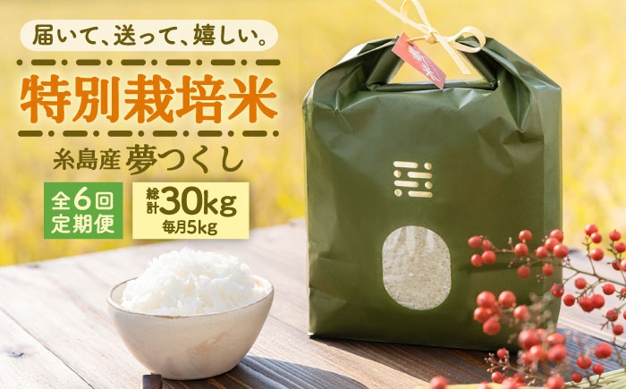 
                  【全6回定期便】 とくべつの中のとくべつ 特別栽培米 5kg 夢つくし 吉富町/(株)やました [BGBX007]
                