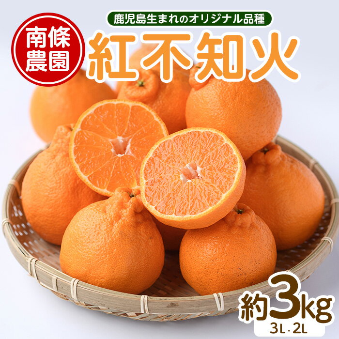 【ふるさと納税】【先行予約】紅 不知火 (3L・2L) 約3kg しらぬい みかん ミカン 蜜柑 柑橘 果物 くだもの フルーツ 3キロ 国産 九州 鹿児島県産 長島 ふるさと 人気 ランキング 【南條農園】nannjyo-7260