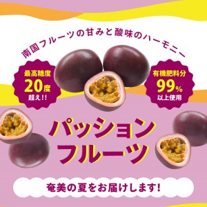 【 2026年 先行予約 】高糖度 パッションフルーツ 約1kg A059-006  国産 奄美大島産 果物 フルーツ 10個前後 最高糖度20度 農家直送 ビタミン カリウム 葉酸 先行受付 事前受