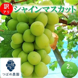 シャインマスカット 訳あり 数量限定 岡山県産 シャインマスカット【2kg以上 3～5房】【先行予約】