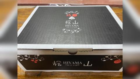 【 先行予約 】 茨城県産 梨 豊水 約5kg 11～14玉【茨城県共通返礼品／常陸太田市】 桧山果樹園 [DU004sa]