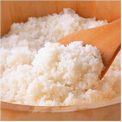 ふるさと納税 中能登町 【毎月定期便】JAの検査で1等に格付けされた「能登米コシヒカリ」を毎月お届け!　5kg×全3回 |  | 01