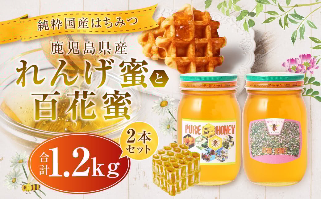 
            BS-201 【純粋国産はちみつ】【先行予約】 鹿児島県産れんげ蜜600gと百花蜜600g 2本セット【2025年5月下旬以降発送】 
          