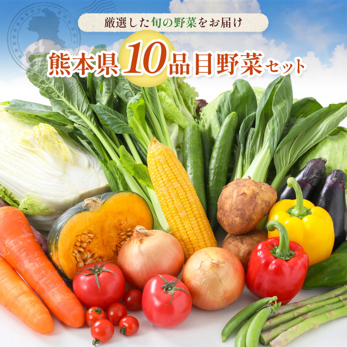 【ふるさと納税】熊本県10品目野菜セット 新鮮 詰め合わせ 野菜 お野菜 季節 冷蔵 旬 四季 セット 厳選 九州 熊本県 送料無料