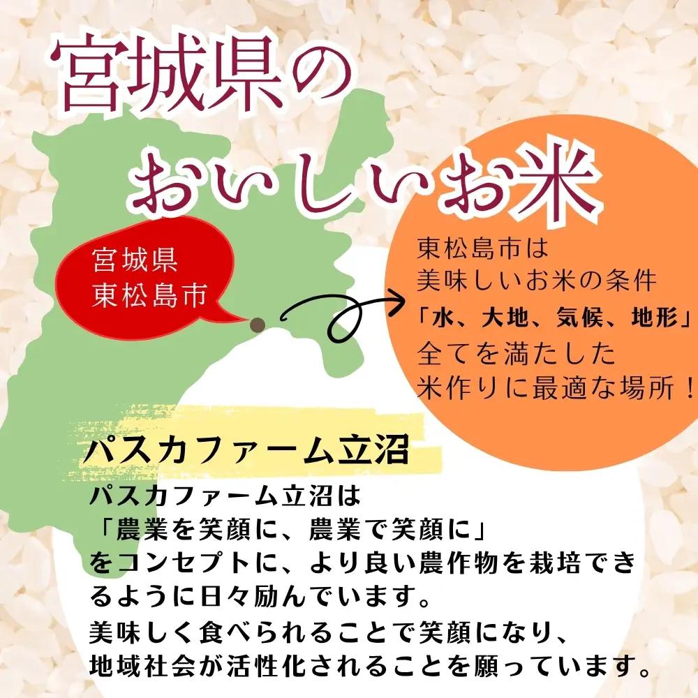 【令和8年産】【新米】【令和8年10月中旬～下旬順次発送】 ひとめぼれ 精米 10kg E｜ひとめぼれE
