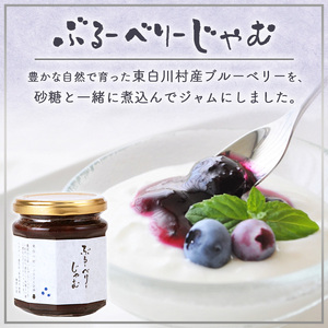 数量限定！ 無添加 ブルーベリージャム 3個 180g×3個 果物 フルーツ ブルーベリー ジャム 5500円