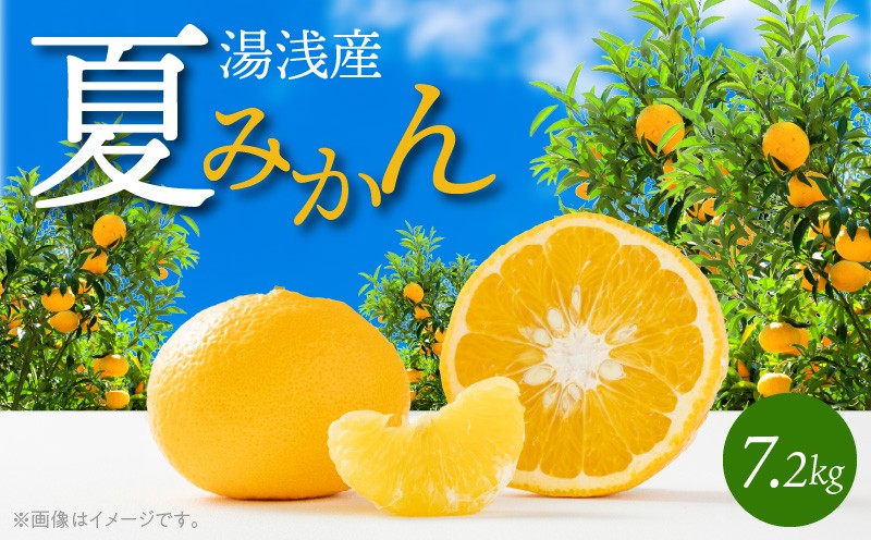 
                  【2027年先行予約】和歌山産 夏みかん 7.2kg_G7074
                