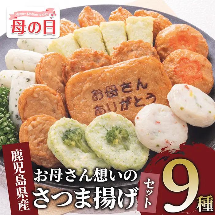 【母の日ギフト】お母さん想いのさつま揚げセット(岡村商店/IB024-005m) 