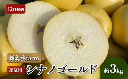 【12月発送】權之丞farm シナノゴールド 家庭用 約3kg【弘前市産・青森りんご】