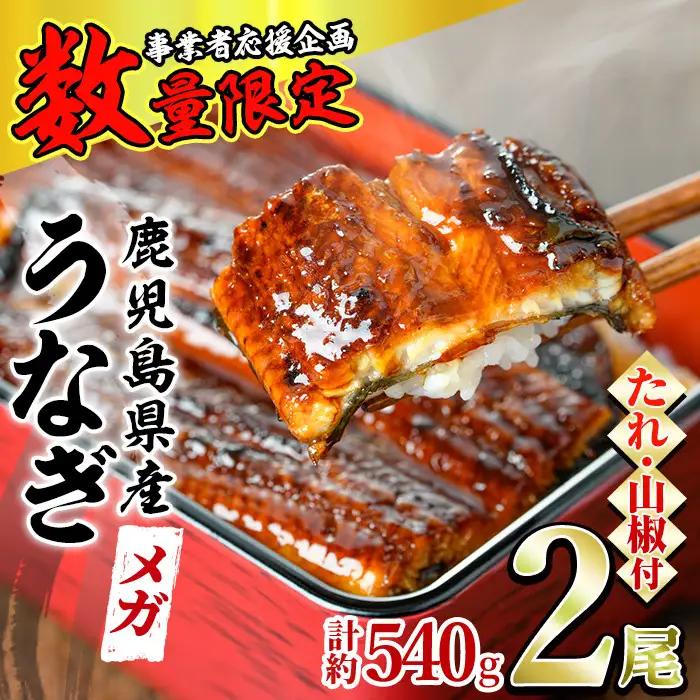 ＜数量限定・メガサイズ＞「養鰻業者応援」 うなぎ 蒲焼 (無頭)(2尾・計約540g・タレ、山椒付) 高級 ウナギ 鰻 国産 たれ 鹿児島 ふるさと 人気【アクアおおすみ】【0164361a】