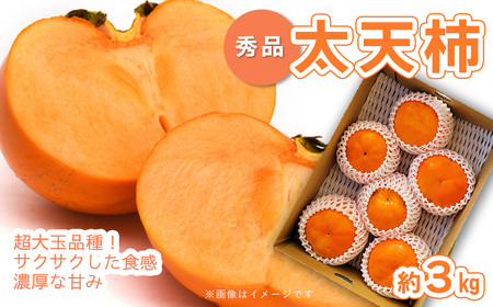 【先行予約】太天柿（秀品）約３kg＿2025年11月発送｜ 柿 カキ 渋抜き柿 大玉柿 愛媛県産柿 かき