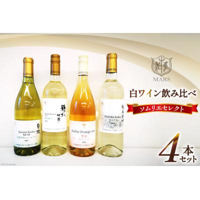 ふるさと納税 韮崎市 ワイン 飲み比べ ソムリエセレクト 白ワイン 4本セット　本坊酒造 マルス穂坂ワイナリーからお届け