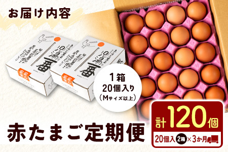 ＜児湯養鶏自慢の卵＞ネッカリッチ赤たまご「児湯一番」 計120個 （20個入×2箱）×3か月定期便【C55】