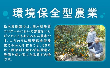 袋掛け みかん 3kg 松本果樹園 《2027年1月中旬-1月末頃出荷》 熊本県 苓北町 スイーツ デザート 果物 ミカン 蜜柑