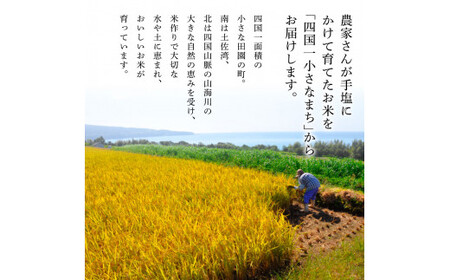 ★令和7年産 新米★四国一小さなまちの田野米  15kg（5kg×3袋）～精米・白米～