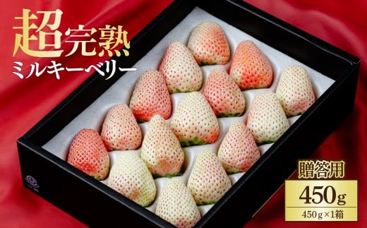 【先行受付：1月中旬以降発送】鈴木ファーム厳選『幻のミルキーベリー』ギフト 450g×１箱 | いちご イチゴ 苺 ミルキーベリー ミルキー 完熟 果物 フルーツ 甘い あまい贈答用 ギフト プレゼント 鈴木ファーム 栃木県 茂木町