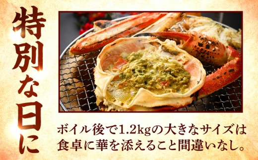 【先行予約/11月7日より順次発送予定】「若狭小浜港産地直送」 越前がに (ズワイガニ) ボイル 大 1杯 かに カニ 蟹 小浜市/ 加福鮮魚 [BFBC020]【配送不可地域：北海道・沖縄・離島】