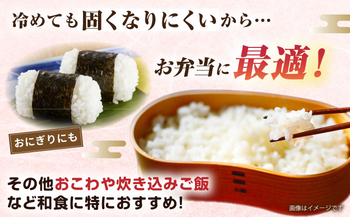 ミルキークイーン 2合 × 20袋 小分け袋 糸島市 / 玄米・精米専門店 新飼宗一郎商店 米 白米 [ADE018]