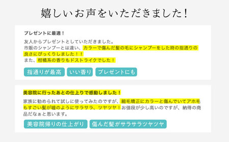 【全6回定期便】RIN. シャンプー 500ml【髪のお悩み専門の美容師が作った】　シャンプー 敏感肌 頭皮 ダメージケア 大阪府高槻市/株式会社sodatu.[AOCK028]