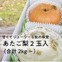 【ふるさと納税】岡山県産 きよとうの愛宕梨 2玉入(合計2kg～)【1453550】