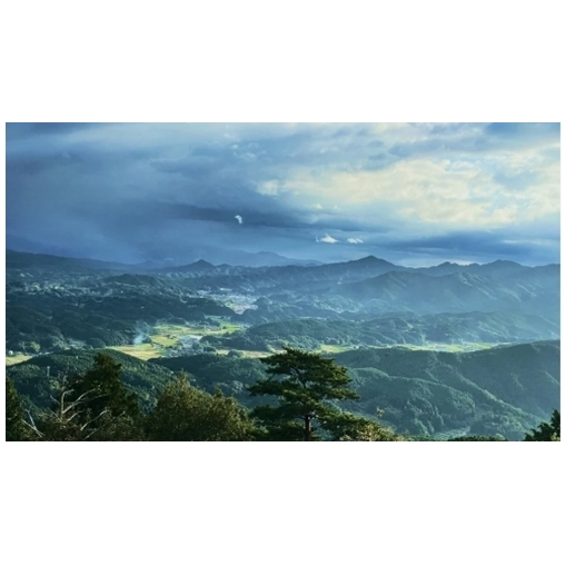 定期便12回 入浴剤 8種類×各5個 ウェルネスフーズ UDA ふるさと納税 無添加 有機栽培 おすすめ リラックス ストレス 肌荒れ改善 疲労回復 送料無料 ゆず 生姜 よもぎ ミント 大和当帰_イ